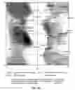 Fig. 05 - SYSTEMS AND METHODS OF SELECTING COMPOUNDS WITH REDUCED RISK OF CARDIOTOXICITY USING CARDIAC SODIUM ION CHANNEL MODELS