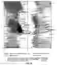 Fig. 07 - SYSTEMS AND METHODS OF SELECTING COMPOUNDS WITH REDUCED RISK OF CARDIOTOXICITY USING CARDIAC SODIUM ION CHANNEL MODELS