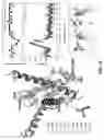 Fig. 27 - SYSTEMS AND METHODS OF SELECTING COMPOUNDS WITH REDUCED RISK OF CARDIOTOXICITY USING CARDIAC SODIUM ION CHANNEL MODELS