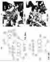 Fig. 31 - SYSTEMS AND METHODS OF SELECTING COMPOUNDS WITH REDUCED RISK OF CARDIOTOXICITY USING CARDIAC SODIUM ION CHANNEL MODELS