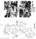 Fig. 32 - SYSTEMS AND METHODS OF SELECTING COMPOUNDS WITH REDUCED RISK OF CARDIOTOXICITY USING CARDIAC SODIUM ION CHANNEL MODELS
