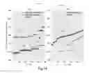 Fig. 19 - Apparatus and method for global optimization