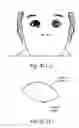 Fig. 06 - System and method for manipulating a facial image and a system for animating a facial image