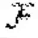 Fig. 13 - Adjusting a deep neural network acoustic model