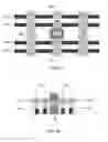 Fig. 06 - Silicon nitride fill for PC gap regions to increase cell density