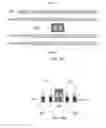 Fig. 11 - Silicon nitride fill for PC gap regions to increase cell density