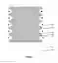 Fig. 06 - Display panel and display device