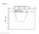 Fig. 09 - METHOD FOR MANUFACTURING THIN SiC WAFER AND THIN SiC WAFER