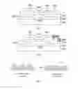 Fig. 03 - OXIDE TFT AND METHOD OF FORMING THE SAME