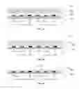 Fig. 09 - Transferring method, manufacturing method, device and electronic apparatus of micro-LED
