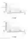 Fig. 07 - Light Emitting Device with Reflective Electrode