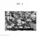 Fig. 08 - Negative active material having a silicon alloy core and a shell including a metal oxide, negative electrode and lithium secondary battery including the same, and method of preparing the negative active material