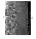 Fig. 02 - Diatomaceous energy storage devices