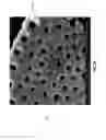 Fig. 08 - Diatomaceous energy storage devices
