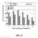 Fig. 09 - Proton exchange composite membrane