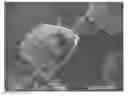 Fig. 01 - Method for producing graphite powder for negative electrode materials for lithium ion secondary batteries