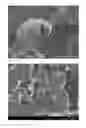 Fig. 02 - Method for producing graphite powder for negative electrode materials for lithium ion secondary batteries