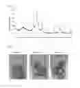Fig. 02 - Sulfide solid electrolyte with argyrodite type crystal structure
