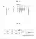 Fig. 07 - Method for transmitting and receiving signal in a wireless local area network and device for same
