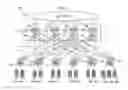 Fig. 02 - Group bundling priority dissemination through link-state routing protocol in a network environment