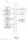 Fig. 07 - Network routing using dynamic virtual paths in an overlay network