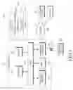 Fig. 02 - IMAGE DATA COMPRESSION CONSIDERING VISUAL CHARACTERISTIC