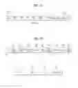 Fig. 11 - Wireless frame transmission method on basis of signaling field sorting of each band and device for same