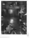 Fig. 02 - Apple tree named ‘RS103-110’