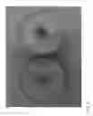 Fig. 06 - Apple tree named ‘RS103-110’