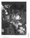 Fig. 07 - Apple tree named ‘RS103-110’