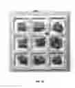 Fig. 20 - Seed quilts