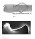 Fig. 09 - Method and an apparatus for stimulation of plant growth and development with near infrared and visible lights