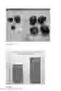 Fig. 16 - Method and an apparatus for stimulation of plant growth and development with near infrared and visible lights