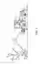 Fig. 02 - Tree shear head assembly