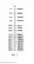 Fig. 06 - OXYFLUORFEN RESISTANT RICE LINES