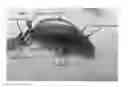 Fig. 01 - TOP WATER LURE BAIT