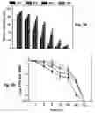 Fig. 03 - Encapsulated Biocontrol Agents
