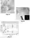 Fig. 04 - Encapsulated Biocontrol Agents