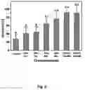Fig. 07 - Encapsulated Biocontrol Agents