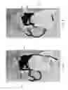 Fig. 04 - Article of Infant Clothing