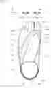 Fig. 02 - WEARING ARTICLE AND FOOTWEAR