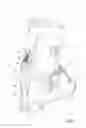 Fig. 02 - Ski boot