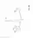 Fig. 08 - System and method for determining the position of the tip of a medical catheter within the body of a patient