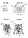 Fig. 09 - Systems and methods for anatomical alignment