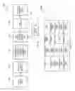 Fig. 09 - METHODS AND SOFTWARE FOR PROVIDING HEALTH INFORMATION TO A USER EXPRESSING SYMPTOMS OF AN ALLERGIC REACTION VIA A WEARABLE DEVICE