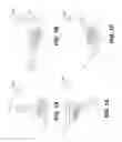 Fig. 02 - APPARATUS AND METHOD FOR 4D X-RAY IMAGING