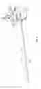 Fig. 07 - Surgical access system and related methods