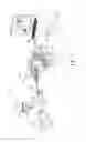 Fig. 02 - ENT tool antenna