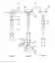 Fig. 03 - Methods and devices for conduit occlusion