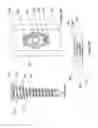 Fig. 06 - Flexible plate fixation of bone fractures